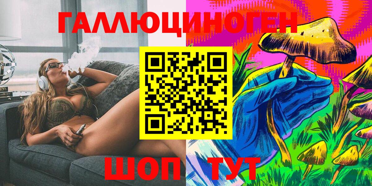 Псилоцибиновые грибы Psilocybe Тихорецк