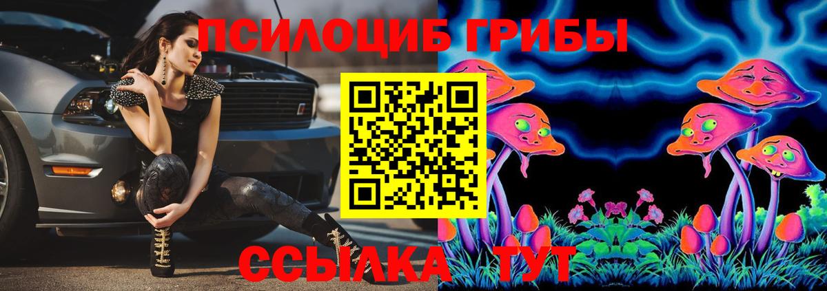 Псилоцибиновые грибы MAGIC MUSHROOMS  Псилоцибиновые грибы Cubensis  Вход с VPN  Тихорецк 